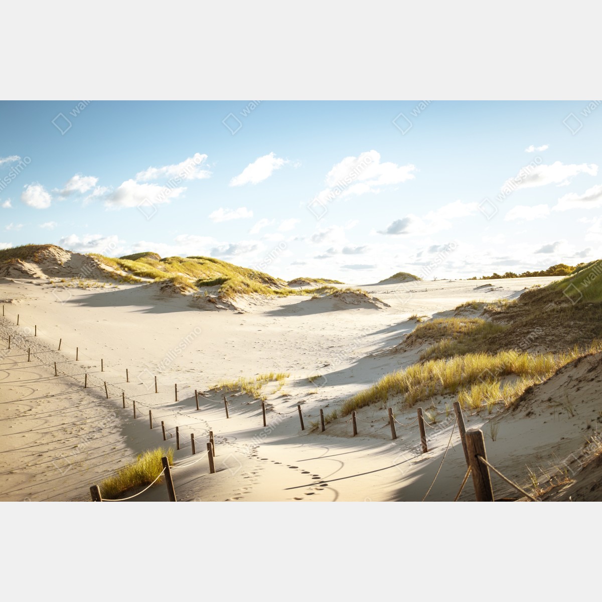 Fototapeta spokojne wydmy Słowińskiego Parku Narodowego – Wallissimo® Fototapeta spokojne wydmy Słowińskiego Parku Narodowego – Wallissimo®