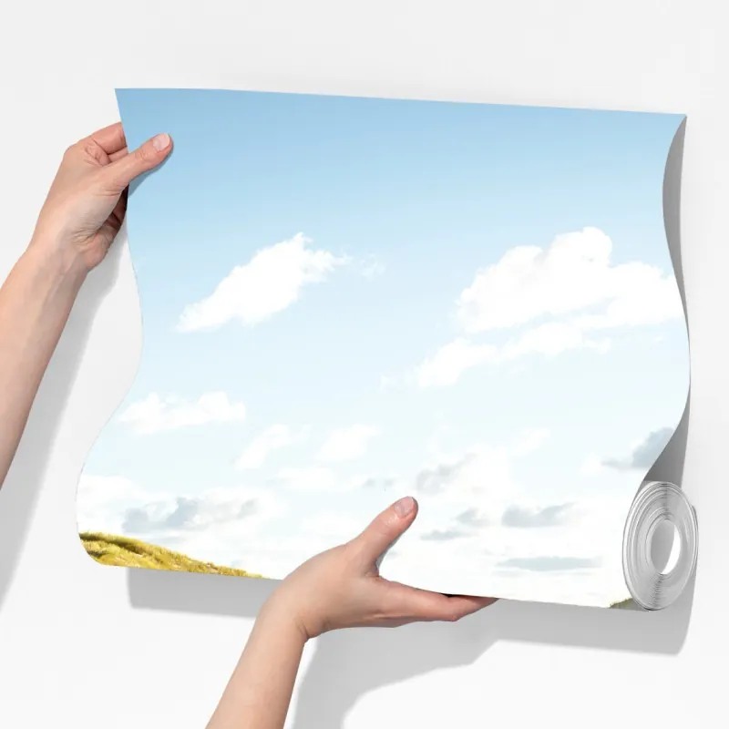 Fototapeta spokojne wydmy Słowińskiego Parku Narodowego – Wallissimo® Fototapeta spokojne wydmy Słowińskiego Parku Narodowego – Wallissimo®