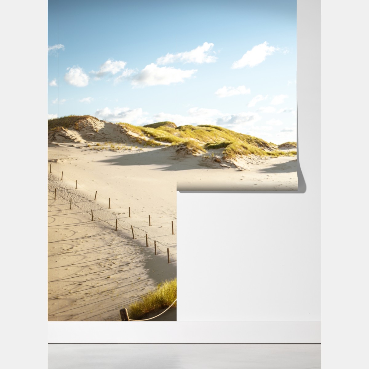 Fototapeta spokojne wydmy Słowińskiego Parku Narodowego – Wallissimo® Fototapeta spokojne wydmy Słowińskiego Parku Narodowego – Wallissimo®