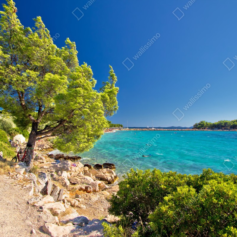 Fototapeta idylliczna turkusowa plaża na wyspie Murter – Wallissimo® Fototapeta idylliczna turkusowa plaża na wyspie Murter – Wallissimo®