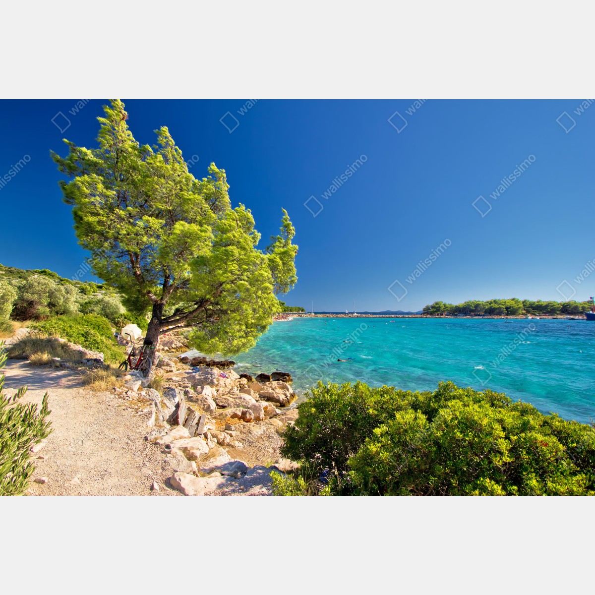 Fototapeta idylliczna turkusowa plaża na wyspie Murter – Wallissimo® Fototapeta idylliczna turkusowa plaża na wyspie Murter – Wallissimo®