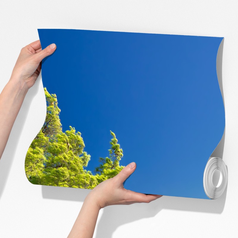 Fototapeta idylliczna turkusowa plaża na wyspie Murter – Wallissimo® Fototapeta idylliczna turkusowa plaża na wyspie Murter – Wallissimo®