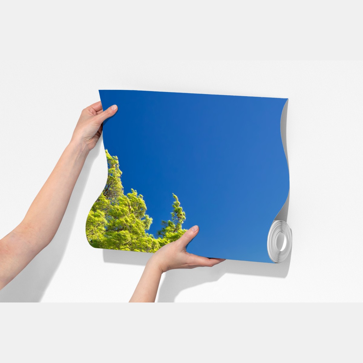 Fototapeta idylliczna turkusowa plaża na wyspie Murter – Wallissimo® Fototapeta idylliczna turkusowa plaża na wyspie Murter – Wallissimo®