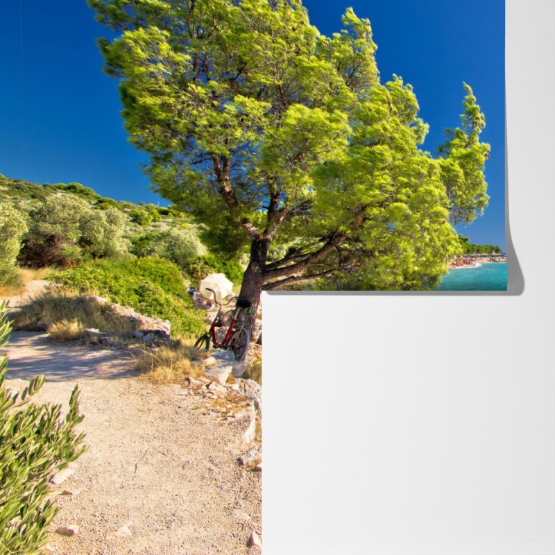 Fototapeta idylliczna turkusowa plaża na wyspie Murter – Wallissimo® Fototapeta idylliczna turkusowa plaża na wyspie Murter – Wallissimo®