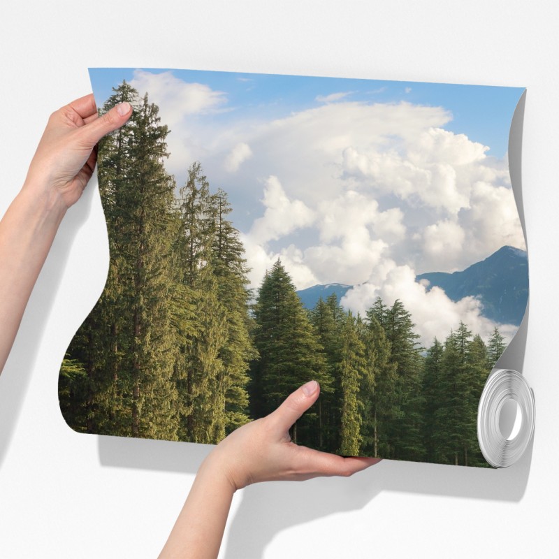 Fototapeta jesienny górski krajobraz z rzeką – Wallissimo® Fototapeta jesienny górski krajobraz z rzeką – Wallissimo®