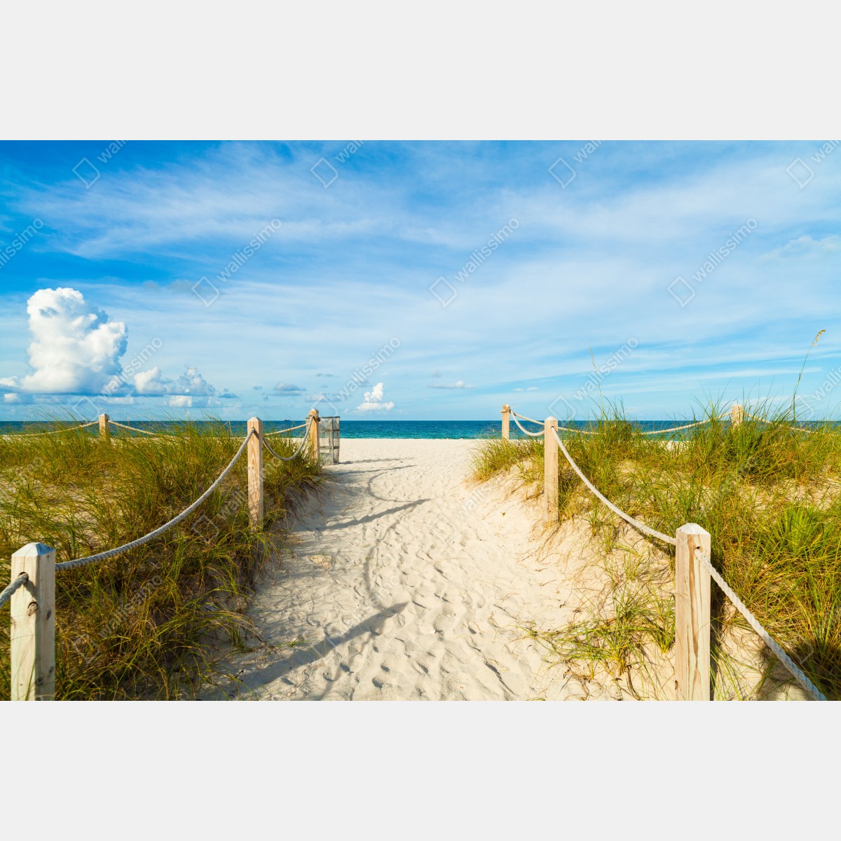 Fototapeta ścieżka na plażę w Miami – Wallissimo® Fototapeta ścieżka na plażę w Miami – Wallissimo®