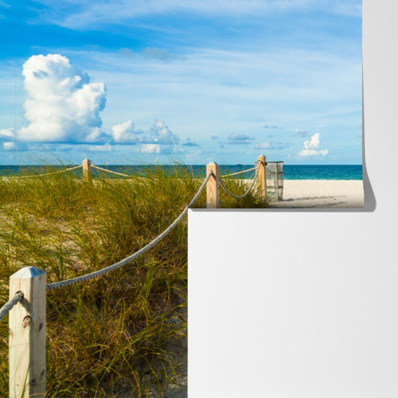 Fototapeta ścieżka na plażę w Miami – Wallissimo® Fototapeta ścieżka na plażę w Miami – Wallissimo®