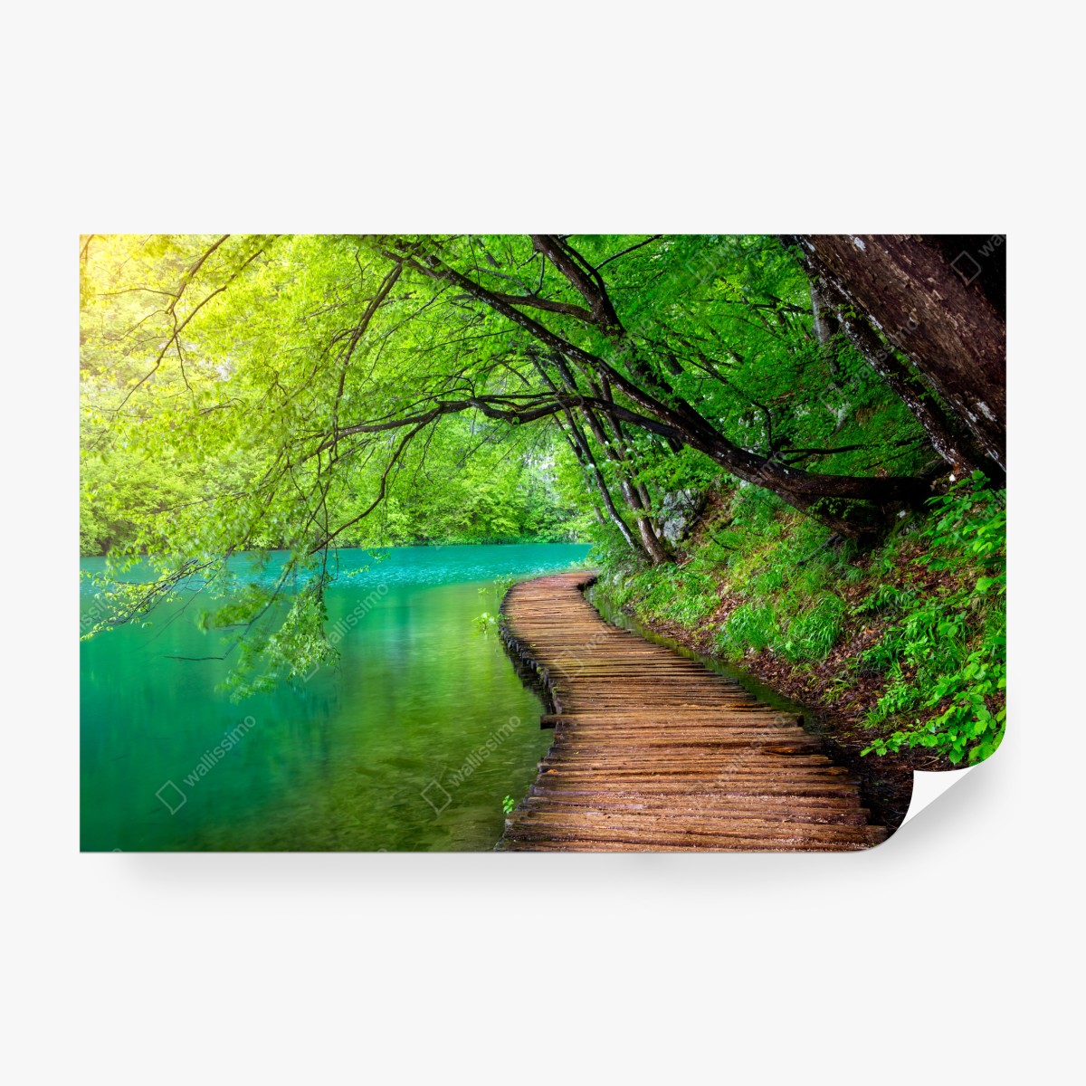 Fototapeta spokojny drewniany pomost nad jeziorem w zielonym lesie – Wallissimo® Fototapeta spokojny drewniany pomost nad jeziorem w zielonym lesie – Wallissimo®