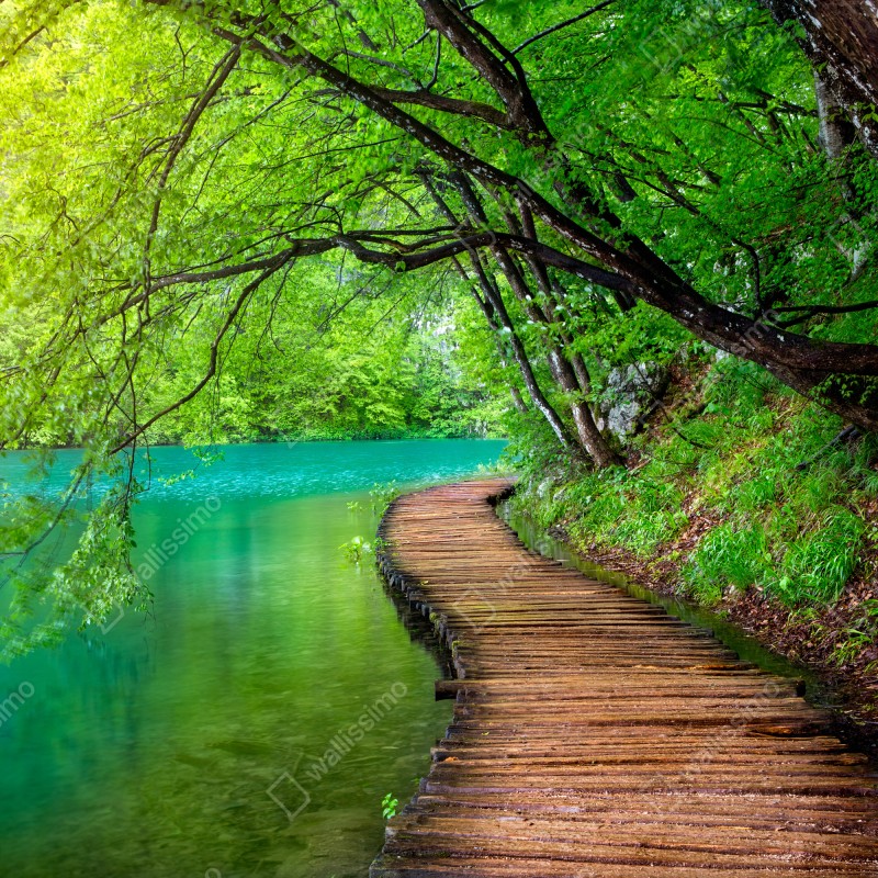 Fototapeta spokojny drewniany pomost nad jeziorem w zielonym lesie – Wallissimo® Fototapeta spokojny drewniany pomost nad jeziorem w zielonym lesie – Wallissimo®