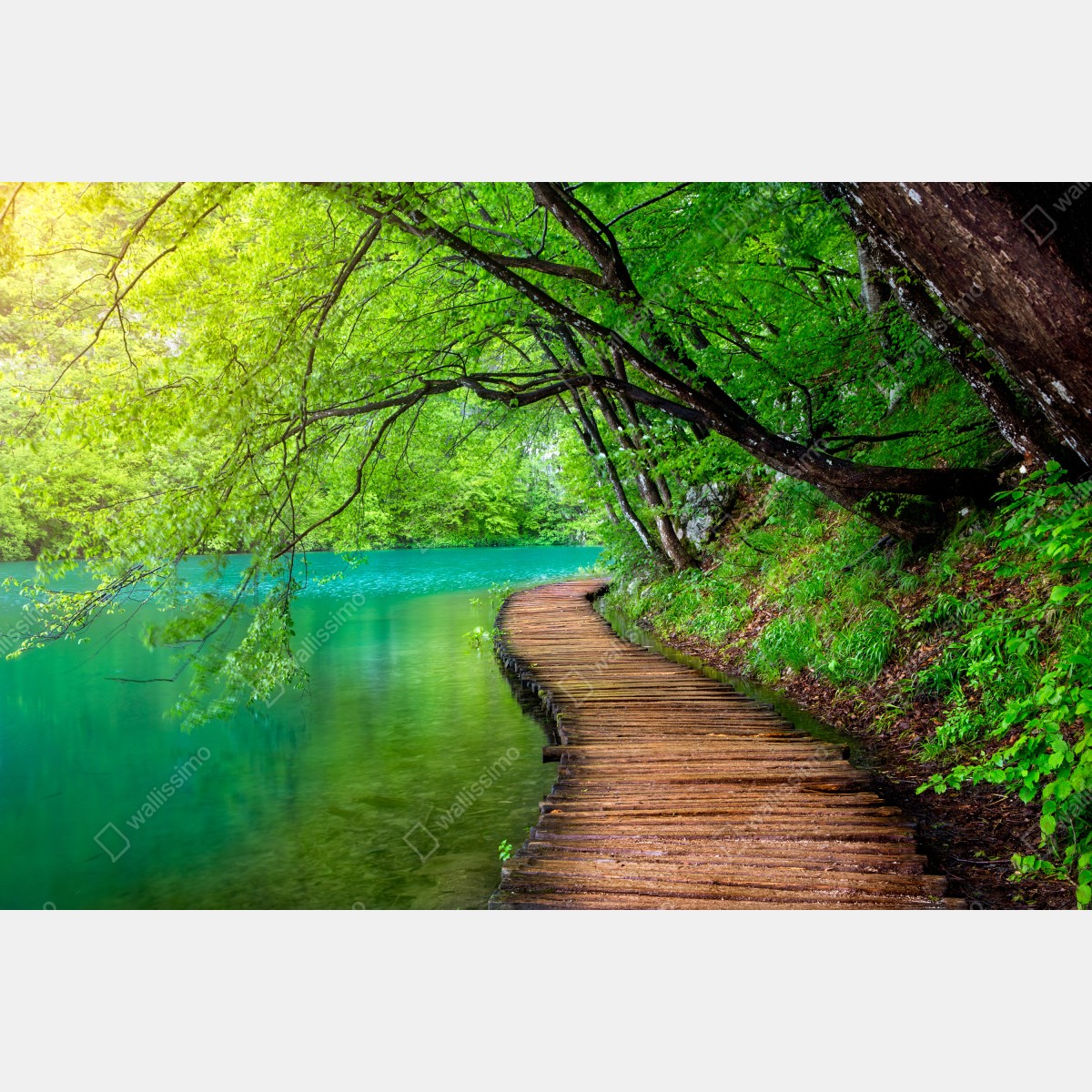 Fototapeta spokojny drewniany pomost nad jeziorem w zielonym lesie – Wallissimo® Fototapeta spokojny drewniany pomost nad jeziorem w zielonym lesie – Wallissimo®