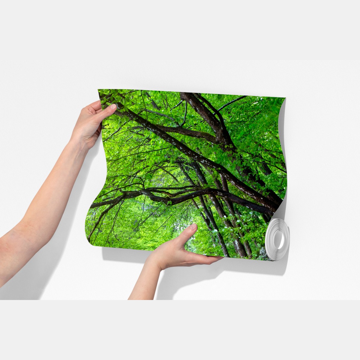 Fototapeta spokojny drewniany pomost nad jeziorem w zielonym lesie – Wallissimo® Fototapeta spokojny drewniany pomost nad jeziorem w zielonym lesie – Wallissimo®