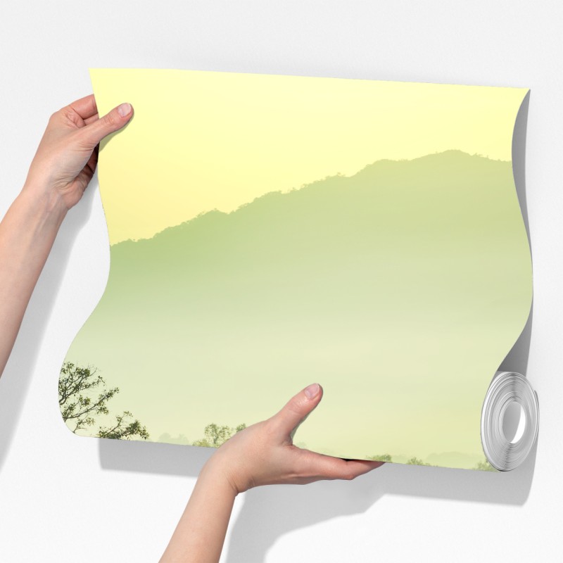 Fototapeta mglista dżungla Wietnamu o wschodzie słońca – Wallissimo® Fototapeta mglista dżungla Wietnamu o wschodzie słońca – Wallissimo®