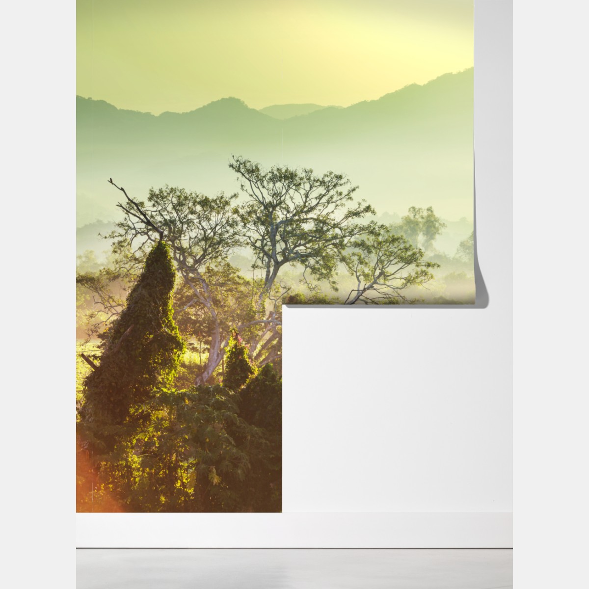 Fototapeta mglista dżungla Wietnamu o wschodzie słońca – Wallissimo® Fototapeta mglista dżungla Wietnamu o wschodzie słońca – Wallissimo®