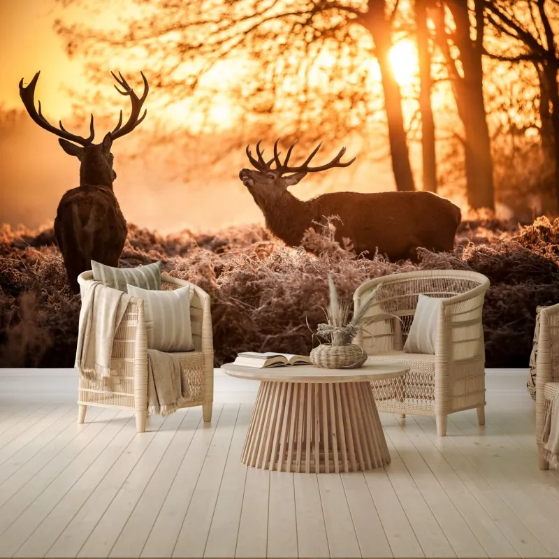 Fototapeta złocisty wschód słońca z jeleniami na mroźnej łące