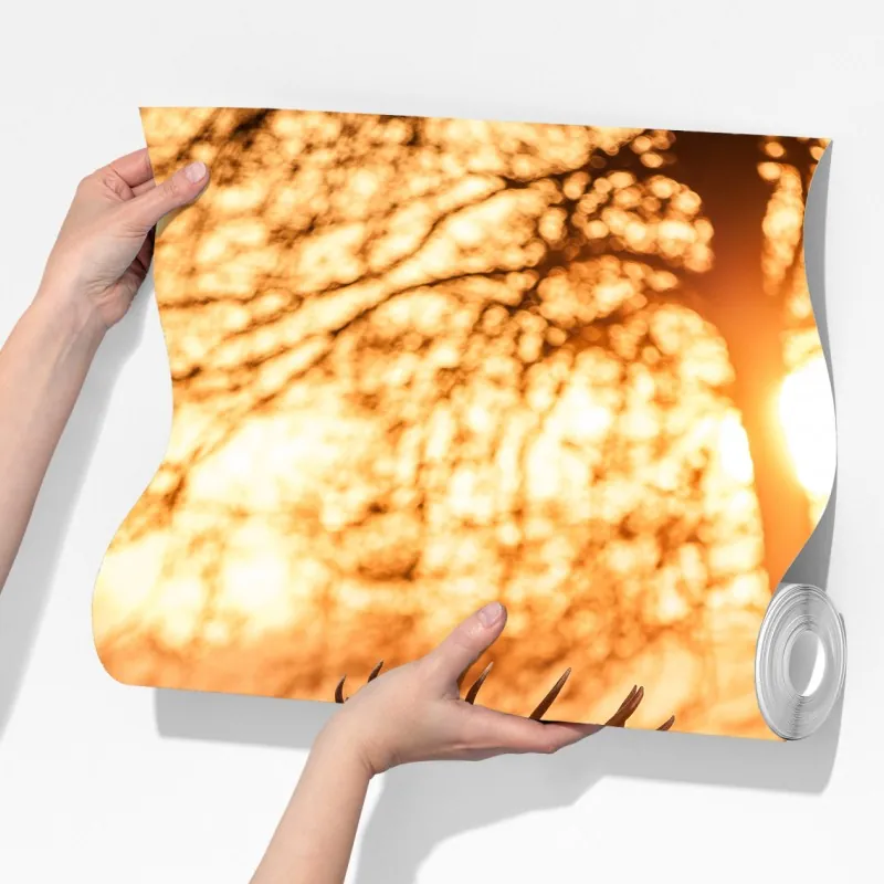 Fototapeta złocisty wschód słońca z jeleniami na mroźnej łące – Wallissimo® Fototapeta złocisty wschód słońca z jeleniami na mroźnej łące – Wallissimo®