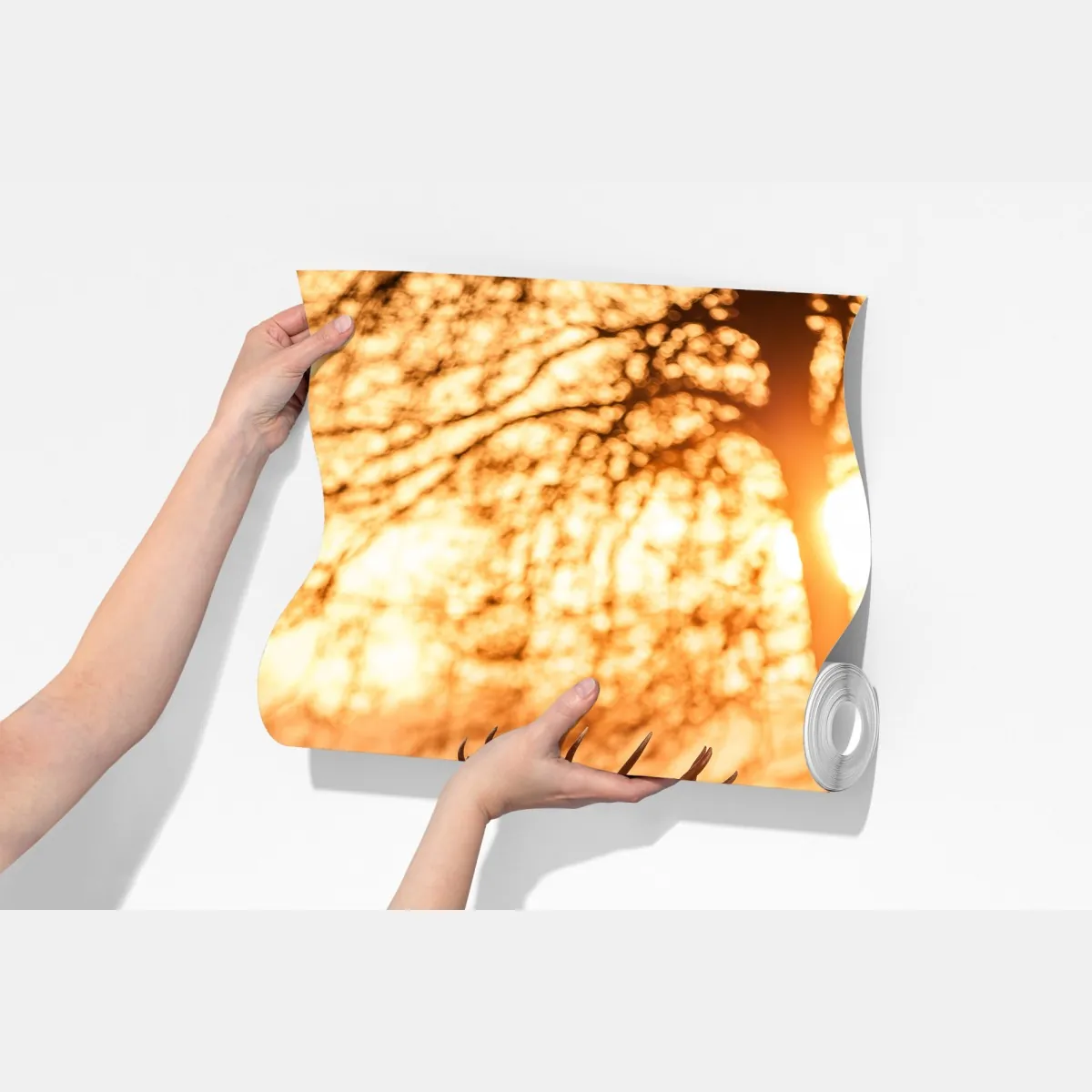 Fototapeta złocisty wschód słońca z jeleniami na mroźnej łące – Wallissimo® Fototapeta złocisty wschód słońca z jeleniami na mroźnej łące – Wallissimo®