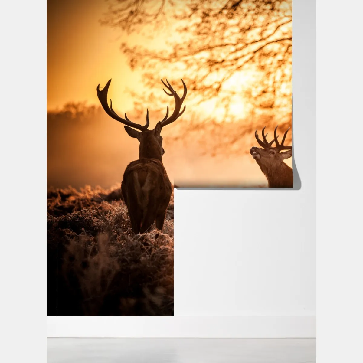 Fototapeta złocisty wschód słońca z jeleniami na mroźnej łące – Wallissimo® Fototapeta złocisty wschód słońca z jeleniami na mroźnej łące – Wallissimo®