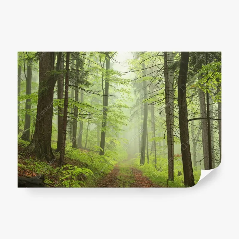 Fototapeta zachód słońca nad jeziorem z łodzią przy pomoście – Wallissimo®