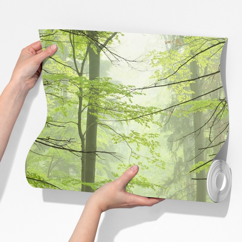 Fototapeta mglisty zielony leśny szlak – Wallissimo® Fototapeta mglisty zielony leśny szlak – Wallissimo®