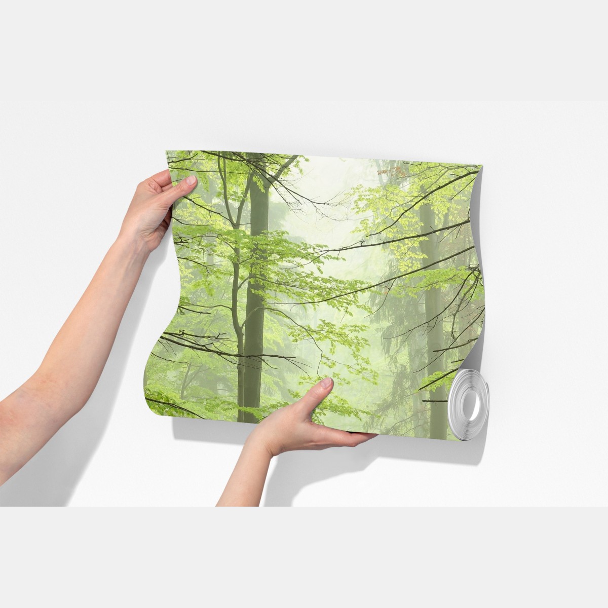 Fototapeta mglisty zielony leśny szlak – Wallissimo® Fototapeta mglisty zielony leśny szlak – Wallissimo®