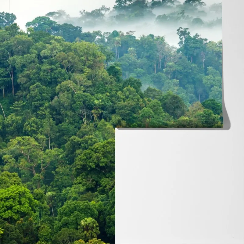 Fototapeta poranna mgła nad lasem Kaeng Krachan – Wallissimo® Fototapeta poranna mgła nad lasem Kaeng Krachan – Wallissimo®