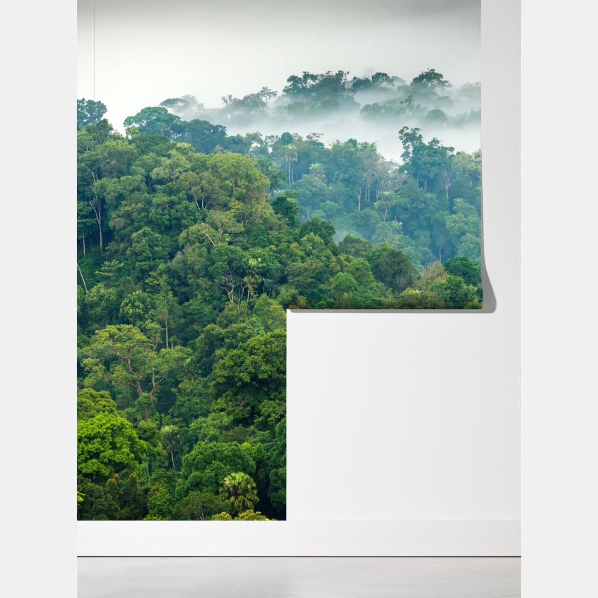 Fototapeta poranna mgła nad lasem Kaeng Krachan – Wallissimo® Fototapeta poranna mgła nad lasem Kaeng Krachan – Wallissimo®