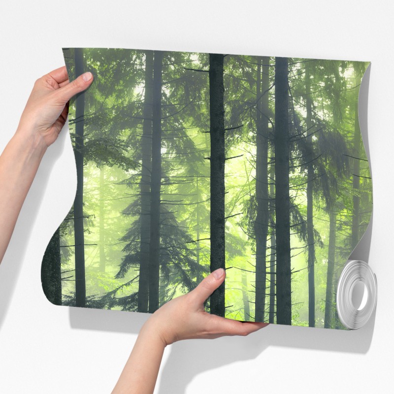 Fototapeta tajemniczy zielony wiosenny las – Wallissimo® Fototapeta tajemniczy zielony wiosenny las – Wallissimo®