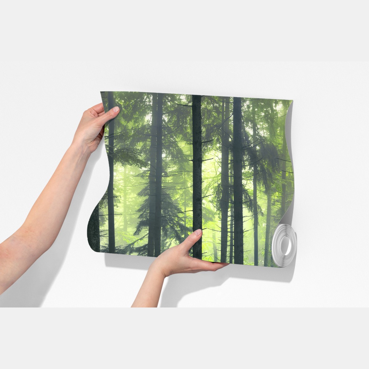 Fototapeta tajemniczy zielony wiosenny las – Wallissimo® Fototapeta tajemniczy zielony wiosenny las – Wallissimo®