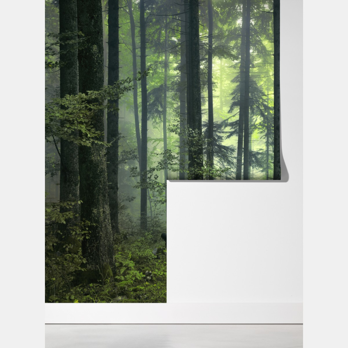 Fototapeta tajemniczy zielony wiosenny las – Wallissimo® Fototapeta tajemniczy zielony wiosenny las – Wallissimo®