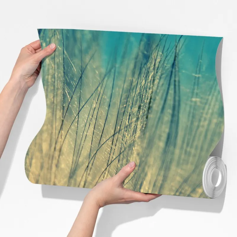 Fototapeta delikatne zbliżenie mlecza w miękkim niebieskim – Wallissimo® Fototapeta delikatne zbliżenie mlecza w miękkim niebieskim – Wallissimo®