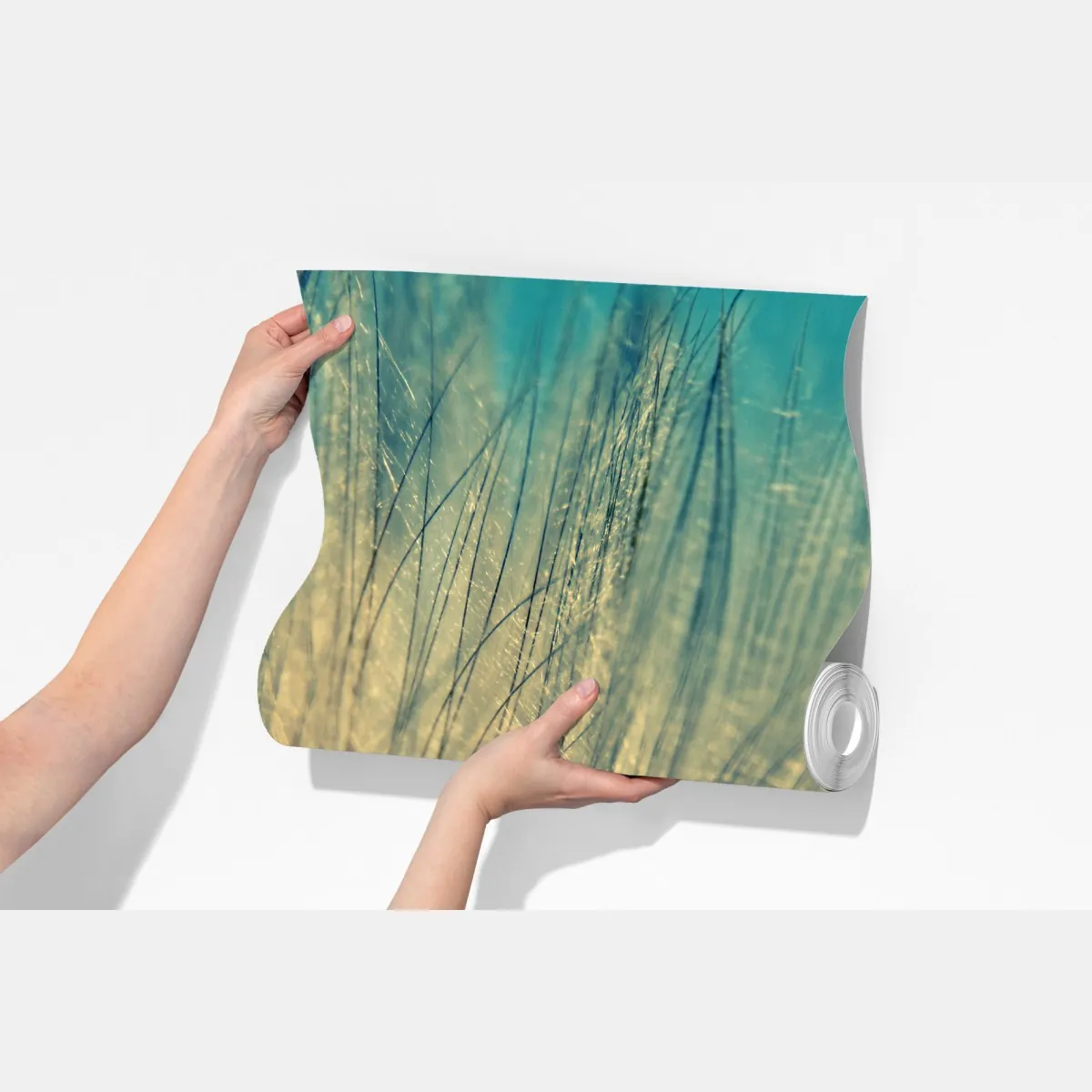 Fototapeta delikatne zbliżenie mlecza w miękkim niebieskim – Wallissimo® Fototapeta delikatne zbliżenie mlecza w miękkim niebieskim – Wallissimo®