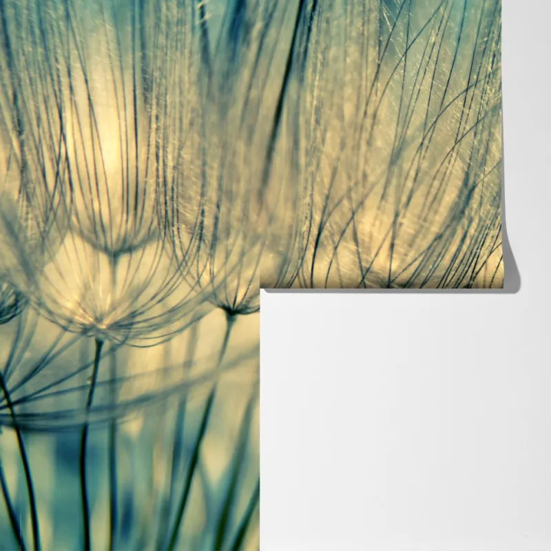 Fototapeta delikatne zbliżenie mlecza w miękkim niebieskim – Wallissimo® Fototapeta delikatne zbliżenie mlecza w miękkim niebieskim – Wallissimo®