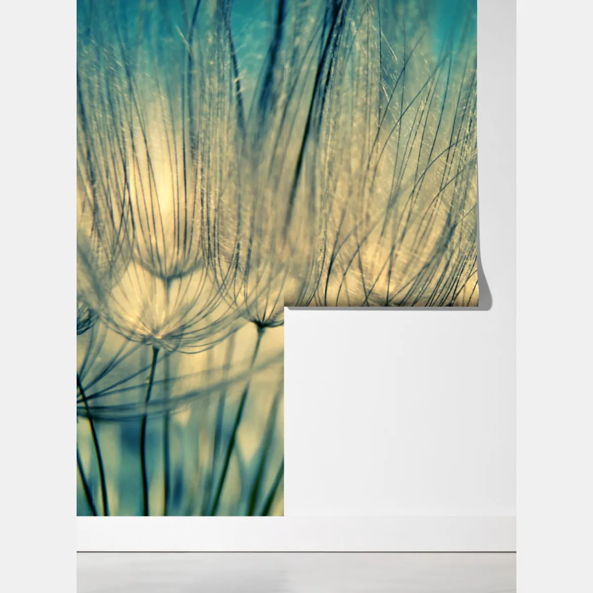 Fototapeta delikatne zbliżenie mlecza w miękkim niebieskim – Wallissimo® Fototapeta delikatne zbliżenie mlecza w miękkim niebieskim – Wallissimo®