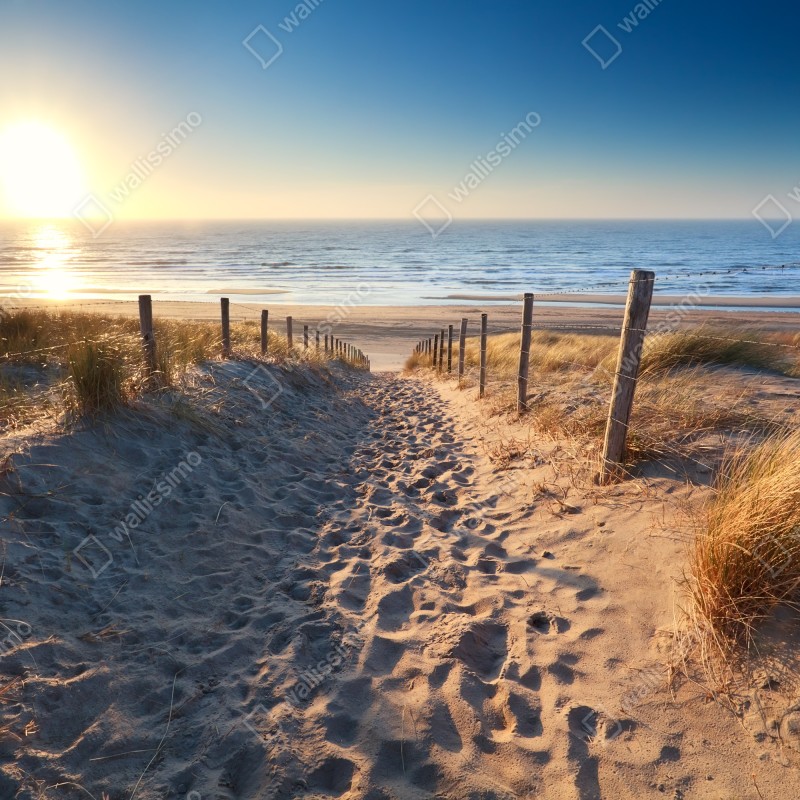 Fototapeta ścieżka na plażę o zachodzie słońca w Zandvoort – Wallissimo® Fototapeta ścieżka na plażę o zachodzie słońca w Zandvoort – Wallissimo®