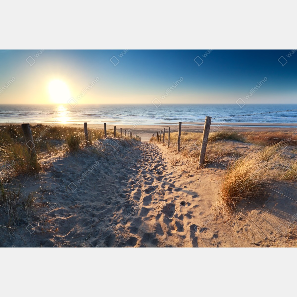 Fototapeta ścieżka na plażę o zachodzie słońca w Zandvoort – Wallissimo® Fototapeta ścieżka na plażę o zachodzie słońca w Zandvoort – Wallissimo®