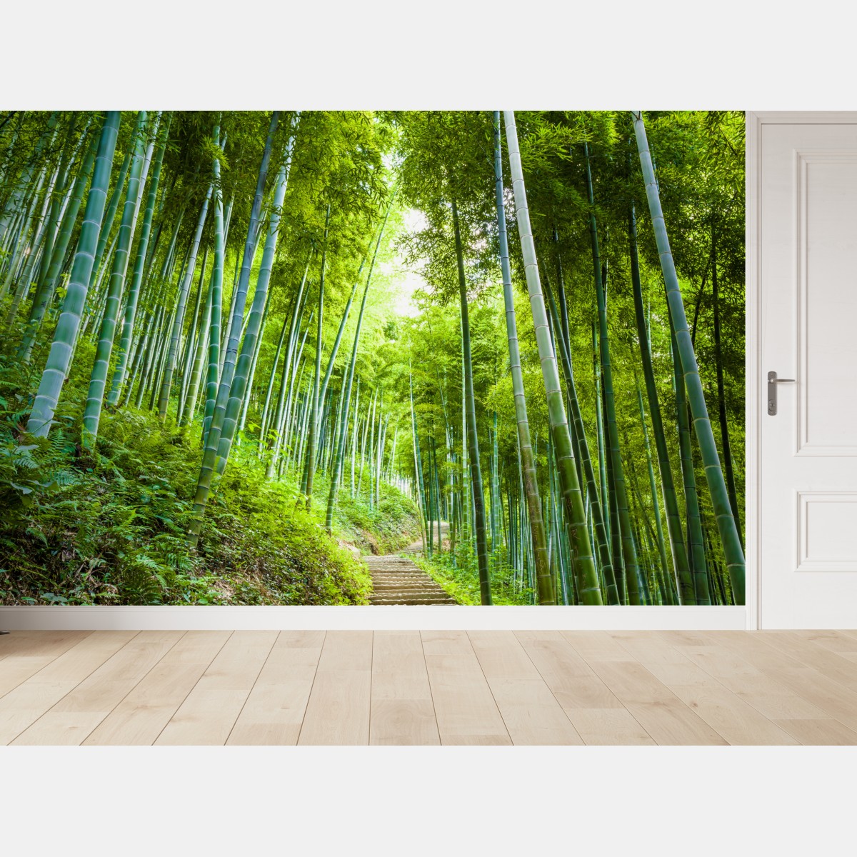 Wall mural serene bamboo forest pathway
