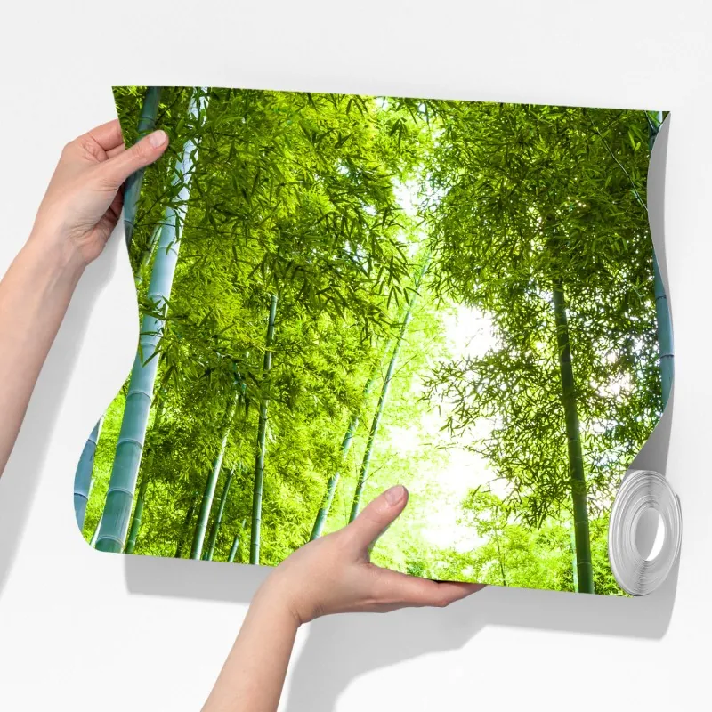 Fototapeta spokojna ścieżka w bambusowym lesie – Wallissimo® Fototapeta spokojna ścieżka w bambusowym lesie – Wallissimo®