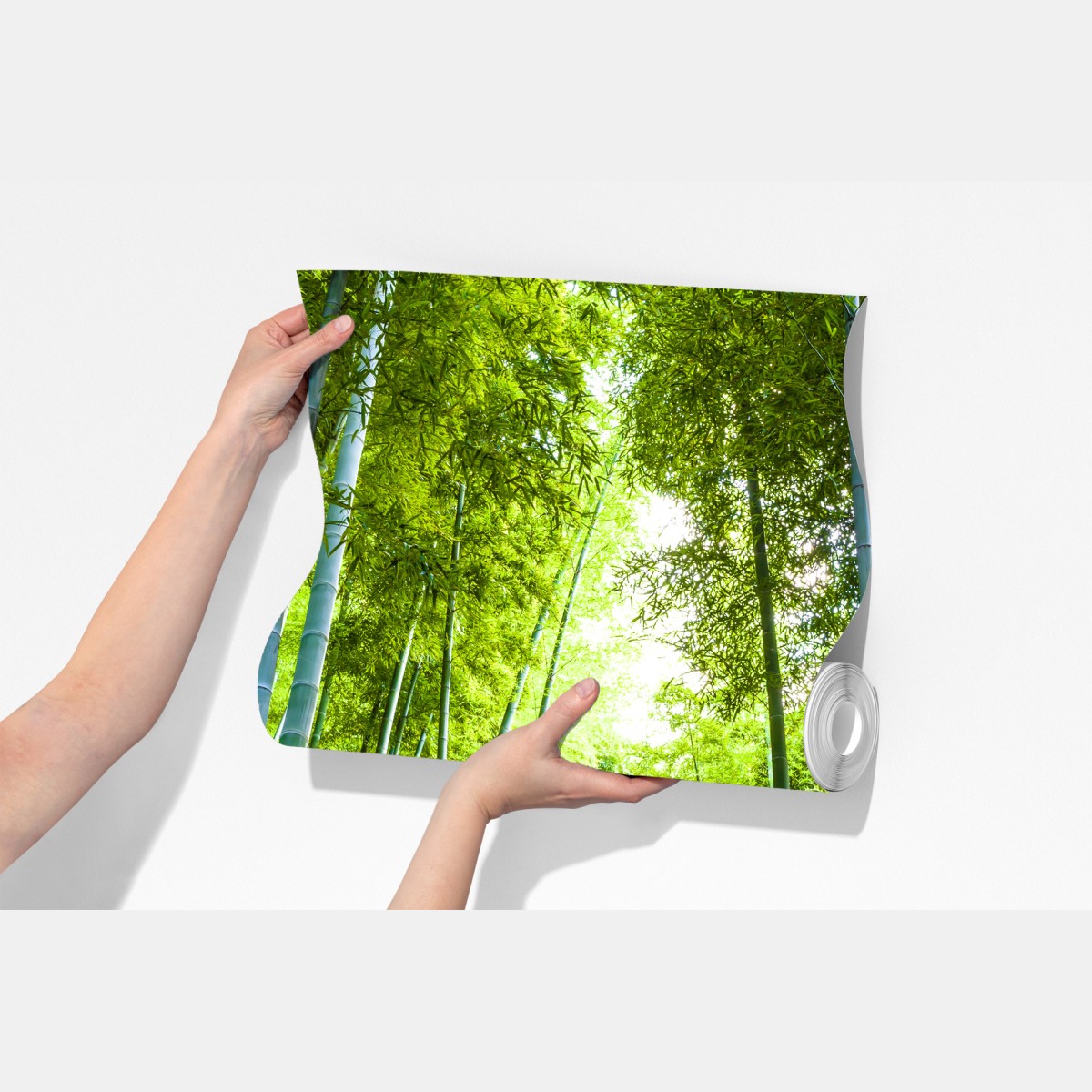 Fototapeta spokojna ścieżka w bambusowym lesie – Wallissimo® Fototapeta spokojna ścieżka w bambusowym lesie – Wallissimo®