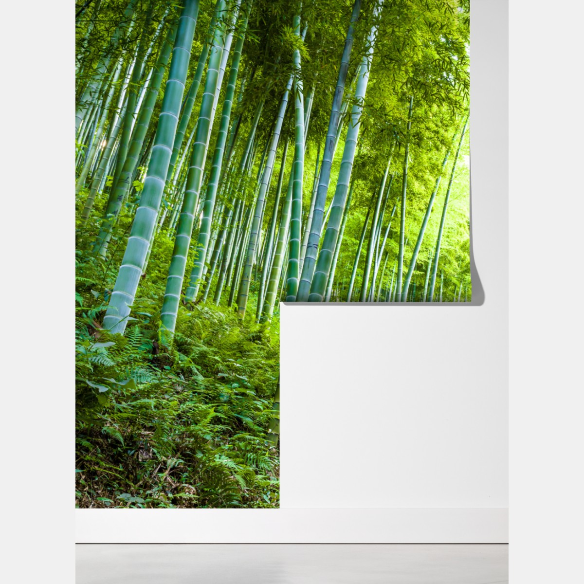 Fototapeta spokojna ścieżka w bambusowym lesie – Wallissimo® Fototapeta spokojna ścieżka w bambusowym lesie – Wallissimo®