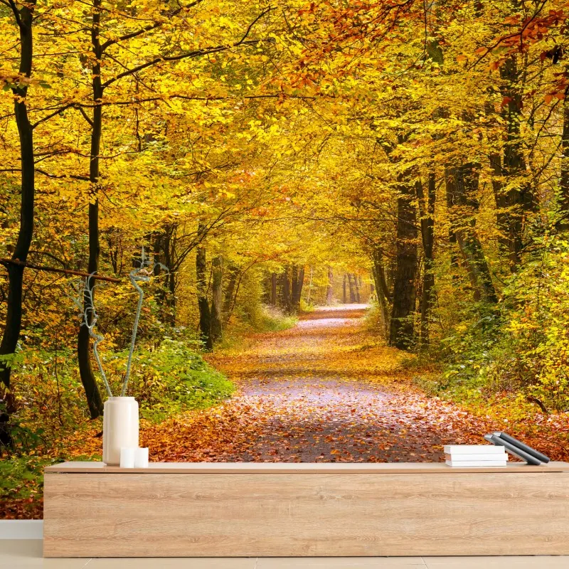 Fototapeta złota jesienna ścieżka w lesie