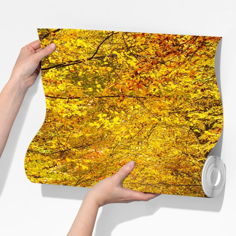 Fototapeta złota jesienna ścieżka w lesie – Wallissimo® Fototapeta złota jesienna ścieżka w lesie – Wallissimo®