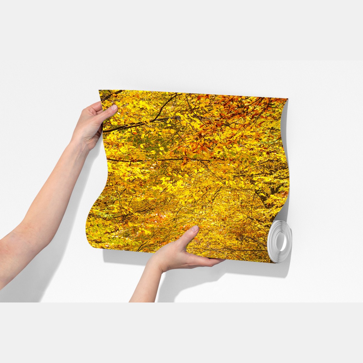 Fototapeta złota jesienna ścieżka w lesie – Wallissimo® Fototapeta złota jesienna ścieżka w lesie – Wallissimo®