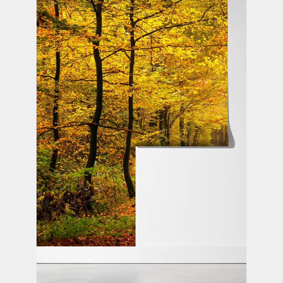 Fototapeta złota jesienna ścieżka w lesie – Wallissimo® Fototapeta złota jesienna ścieżka w lesie – Wallissimo®