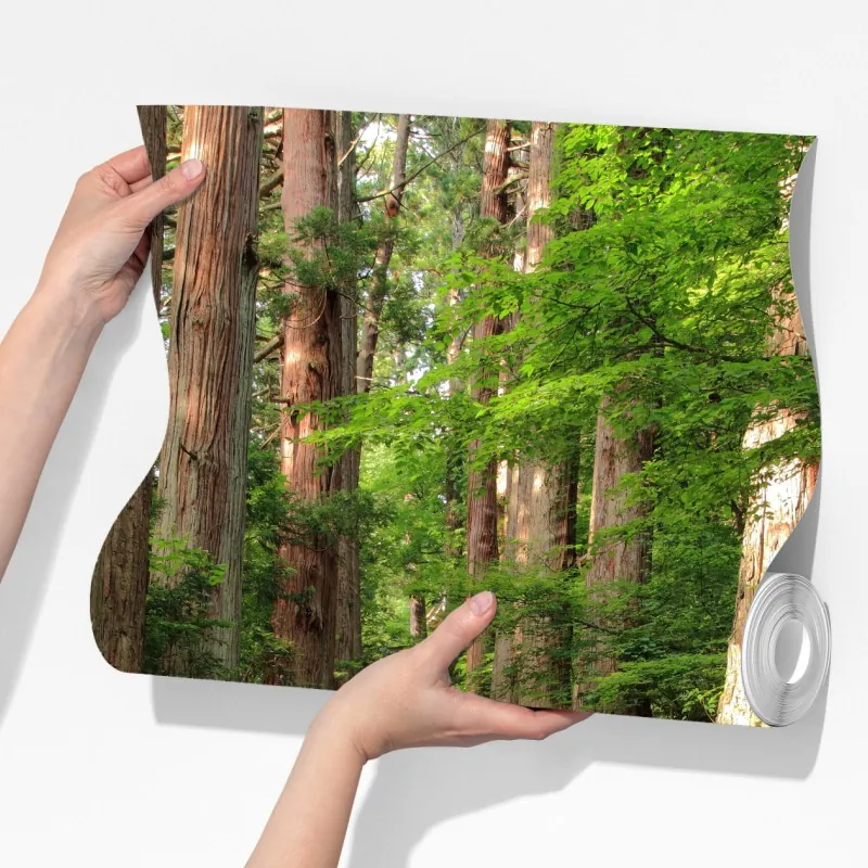 Fototapeta kamienne schody w starym lesie – Wallissimo® Fototapeta kamienne schody w starym lesie – Wallissimo®