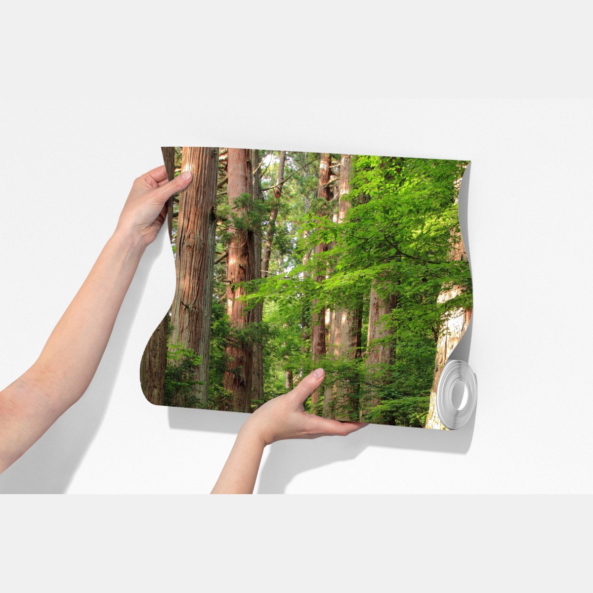 Fototapeta kamienne schody w starym lesie – Wallissimo® Fototapeta kamienne schody w starym lesie – Wallissimo®