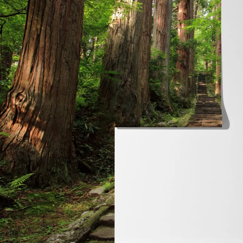 Fototapeta kamienne schody w starym lesie – Wallissimo® Fototapeta kamienne schody w starym lesie – Wallissimo®