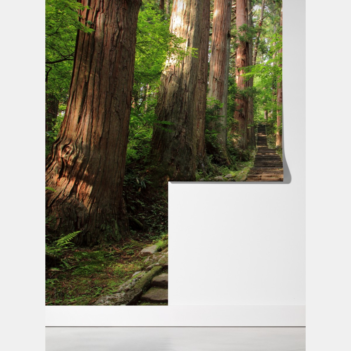 Fototapeta kamienne schody w starym lesie – Wallissimo® Fototapeta kamienne schody w starym lesie – Wallissimo®