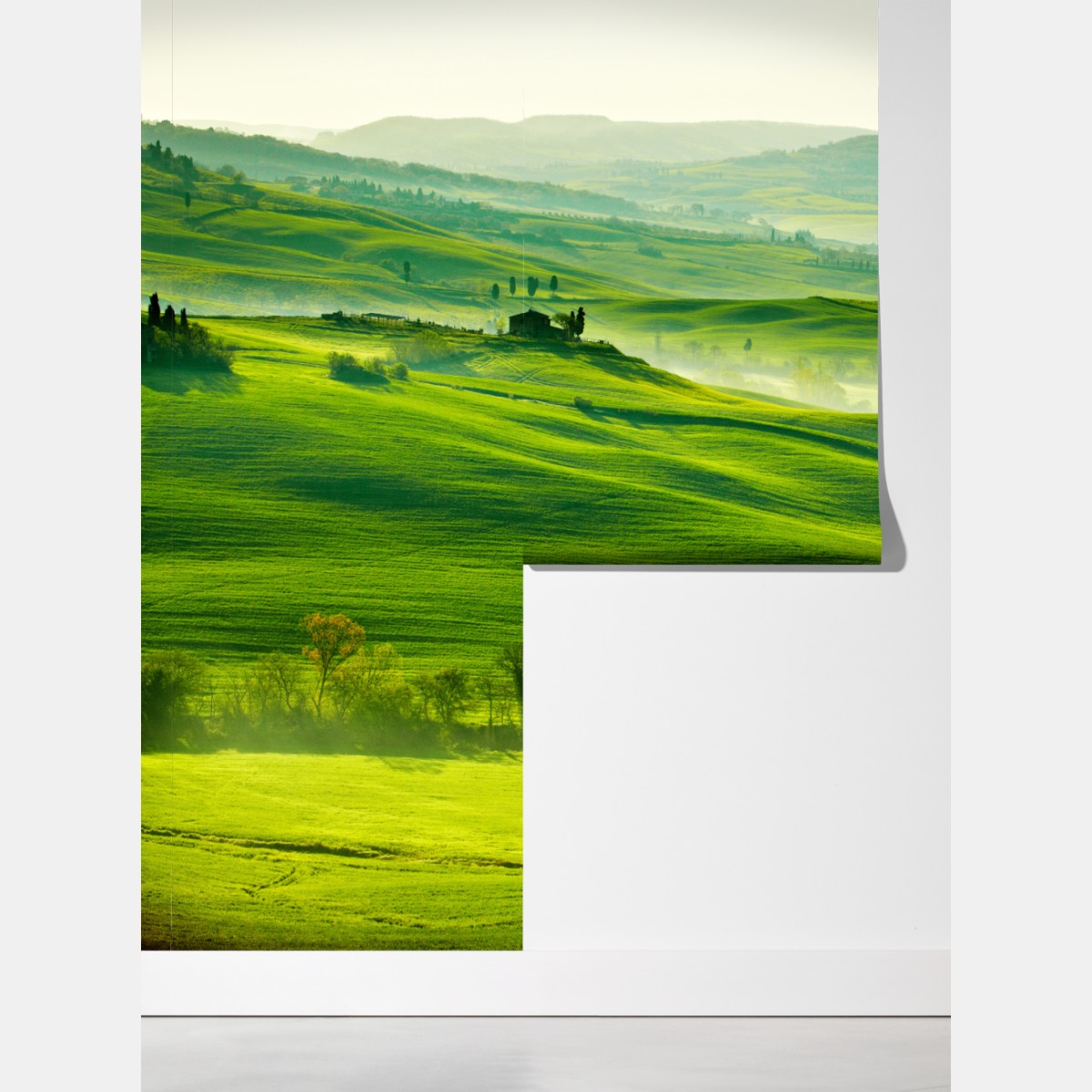 Fototapeta słoneczne falujące wzgórza Toskanii – Wallissimo® Fototapeta słoneczne falujące wzgórza Toskanii – Wallissimo®