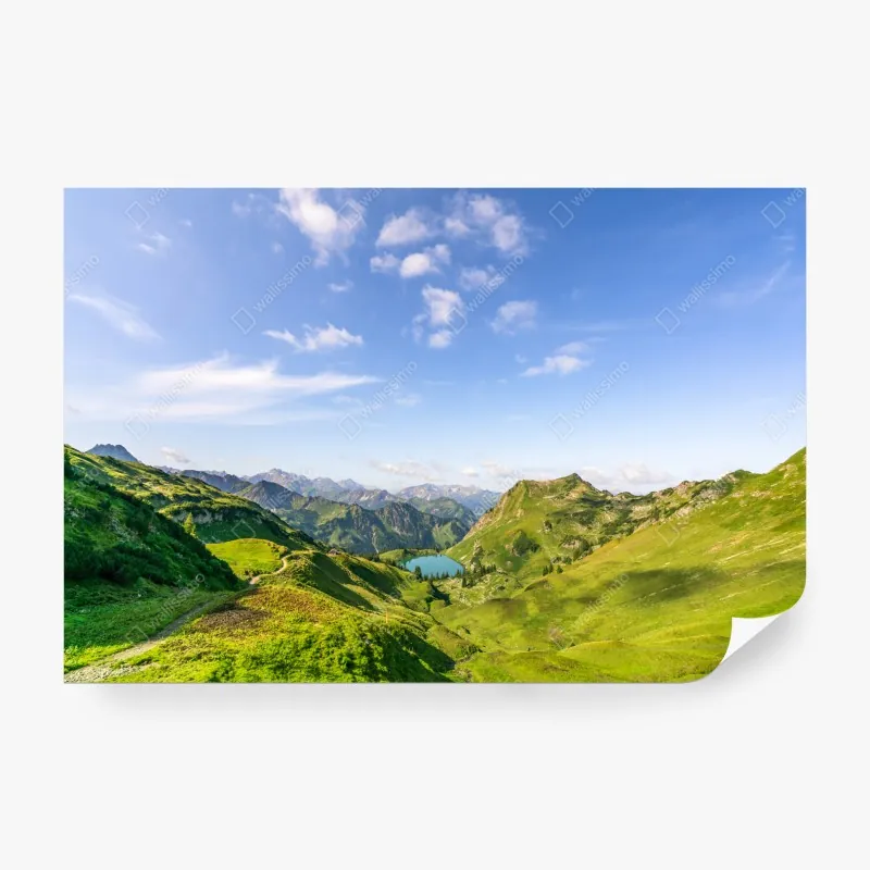 Fototapeta łąka łubinów przy Vestrahorn, Islandia – Wallissimo®