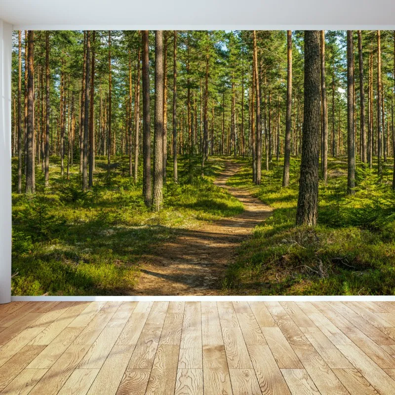 Fototapeta słoneczna ścieżka w lesie sosnowym